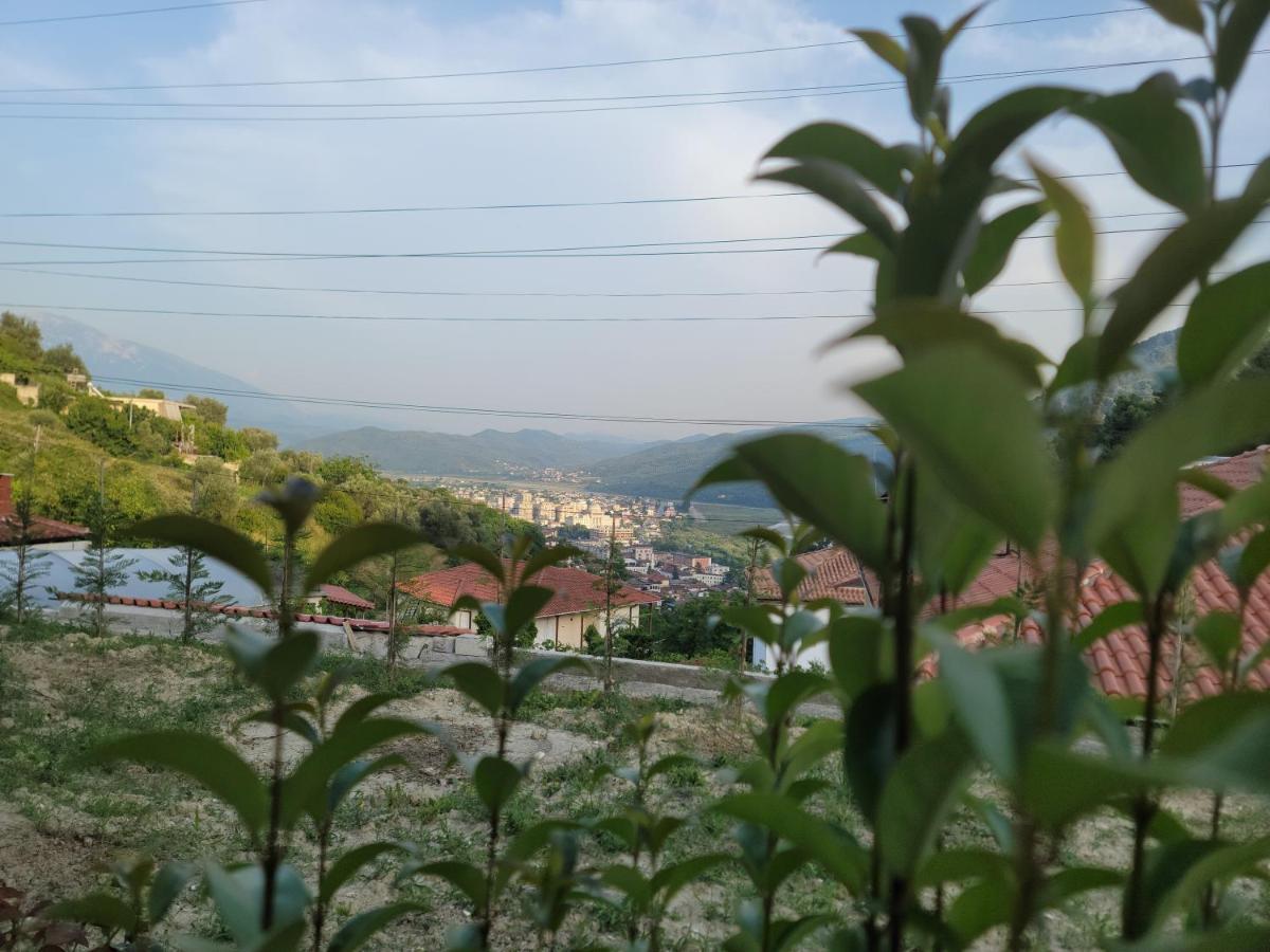 G&K Garden Hotel Berat Extérieur photo